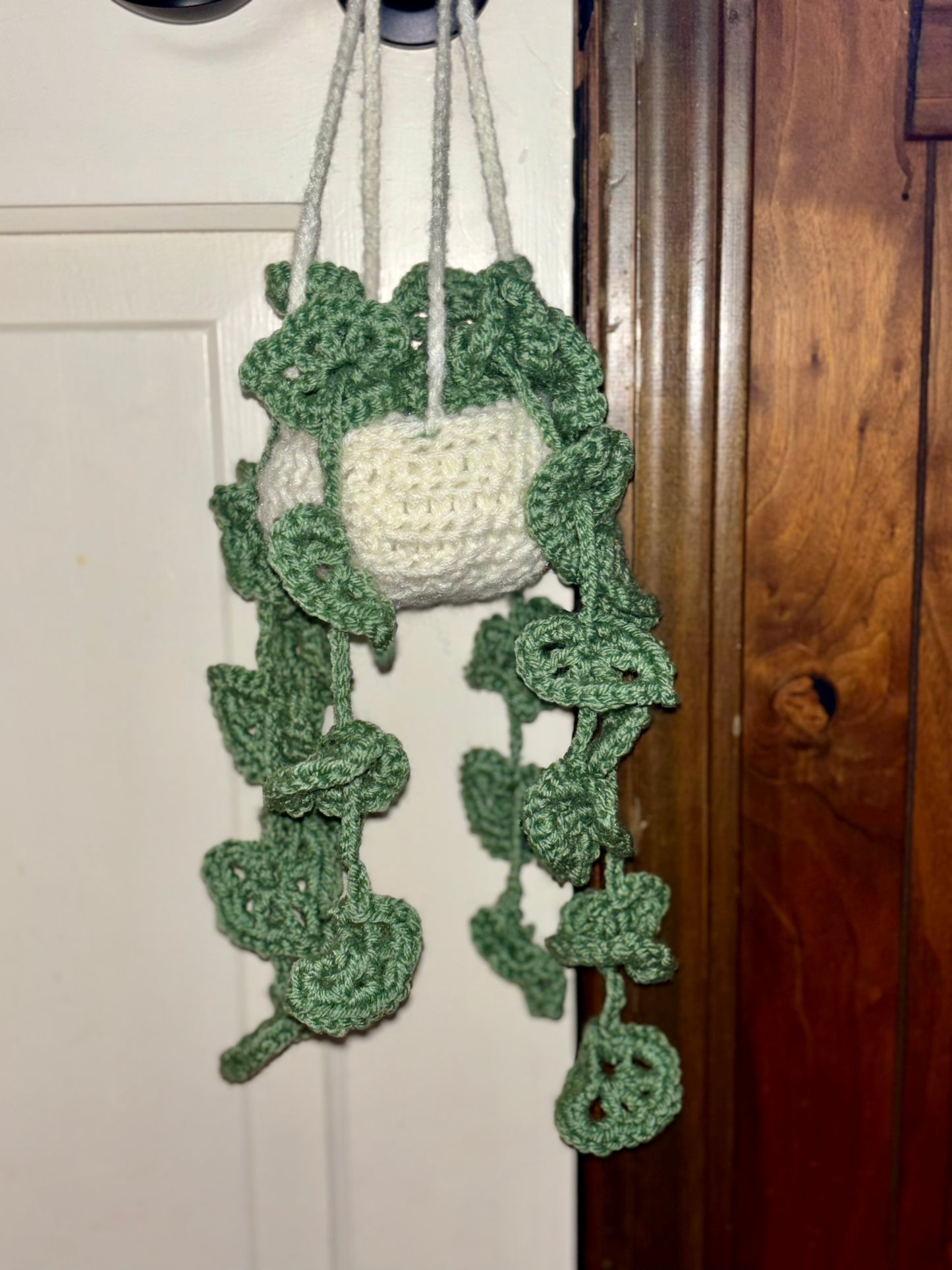 Crochet Plant