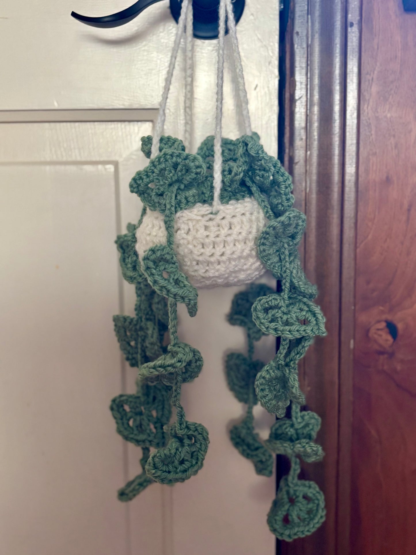 Crochet Plant